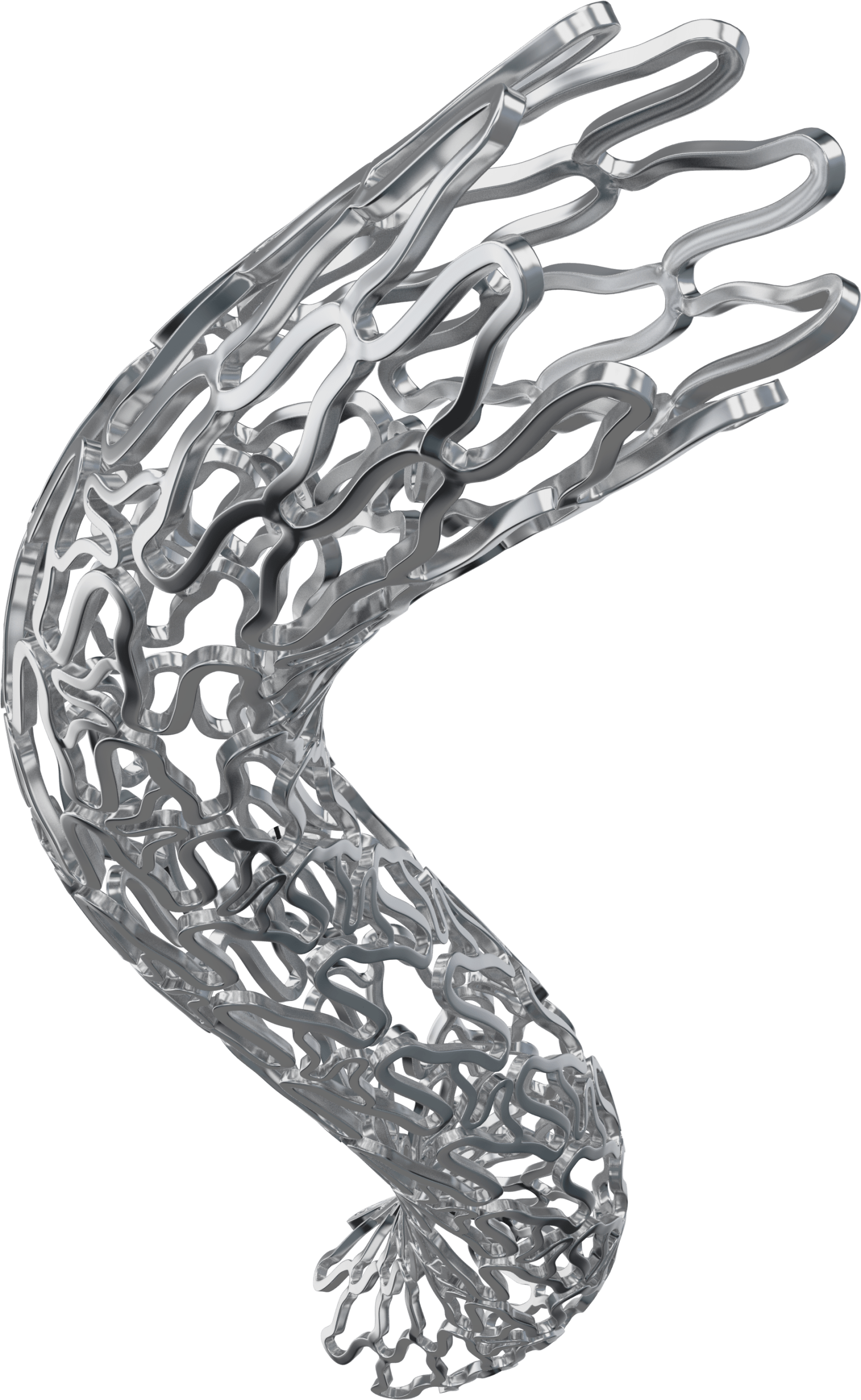 Evermine50 - Drug Eluting Stent (DES) - Meril Vascular Intervention